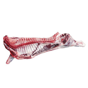 FROZEN WHOLE BEEF CARCASS
